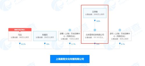 “王校长”再探泛文娱蓝海 入股沉浸式游戏剧公司UME PLAY，数字文化创意赛道迎资本强音